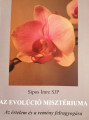 Műsor kép