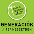 Műsor kép