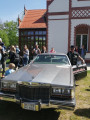 Műsor kép