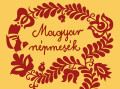 Műsor kép