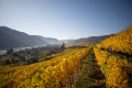 Wachau_Weissenkirchen2.JPG