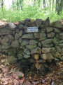 IMG_20260422_104924.jpg