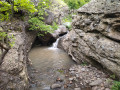 IMG_20210519_120737.jpg