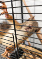 Borítókép
