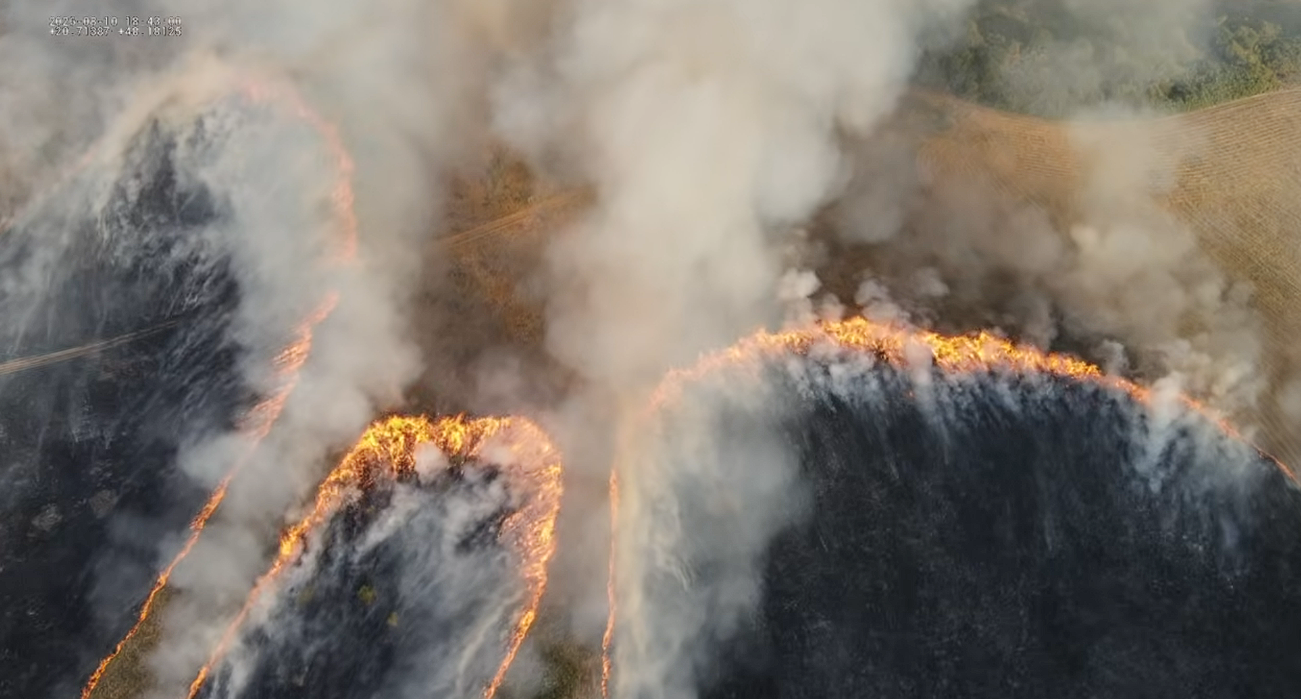 Több hektáron pusztít tűz Várpalota külterületén