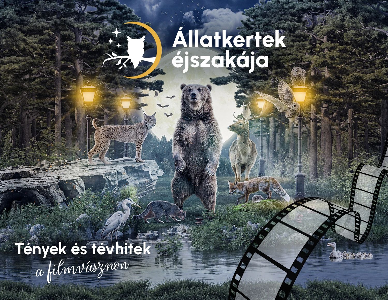 Állatkertek éjszakája - Különleges programok várják a látogatókat a budapesti állatkertben pénteken